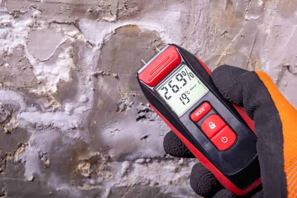 Best Mold Testing  in Lowell, IN